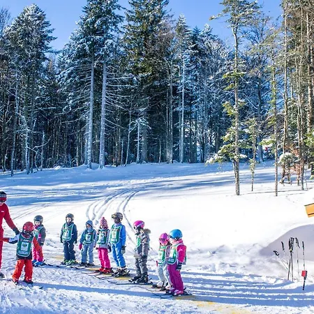 Üdülőpark Vtf Les Fougeres 3*