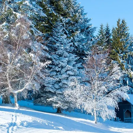 Vtf Les Fougeres 3* Soultzeren