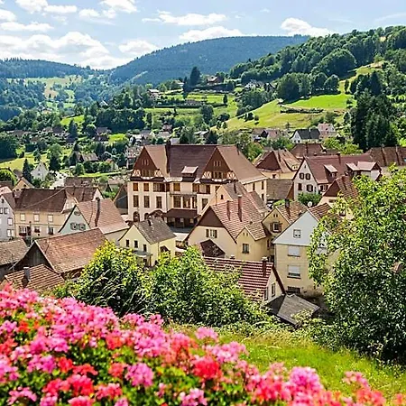 Vtf Les Fougeres 假日公园