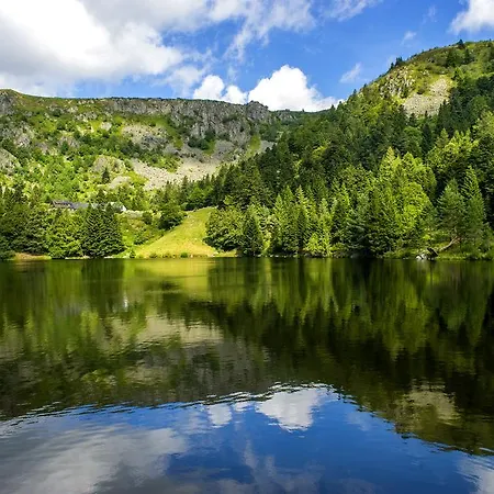 Village de vacances Vtf Les Fougères Soultzeren