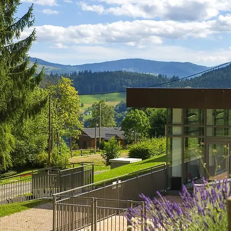 Vtf Les Fougeres Soultzeren