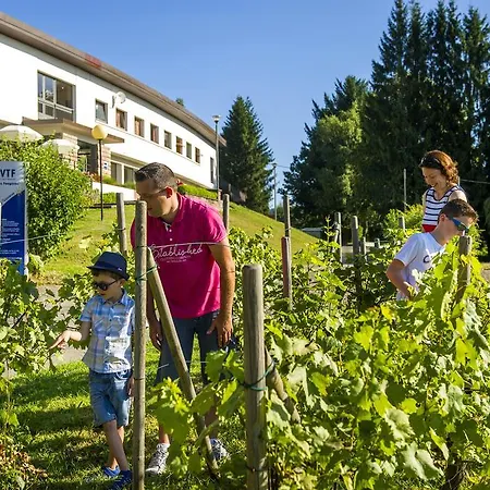Vtf Les Fougeres Üdülőpark