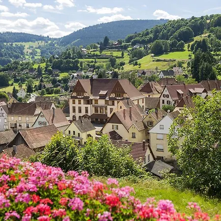 Vtf Les Fougeres Üdülőpark Soultzeren