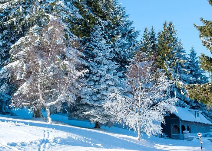 Vtf Les Fougères 3* Soultzeren