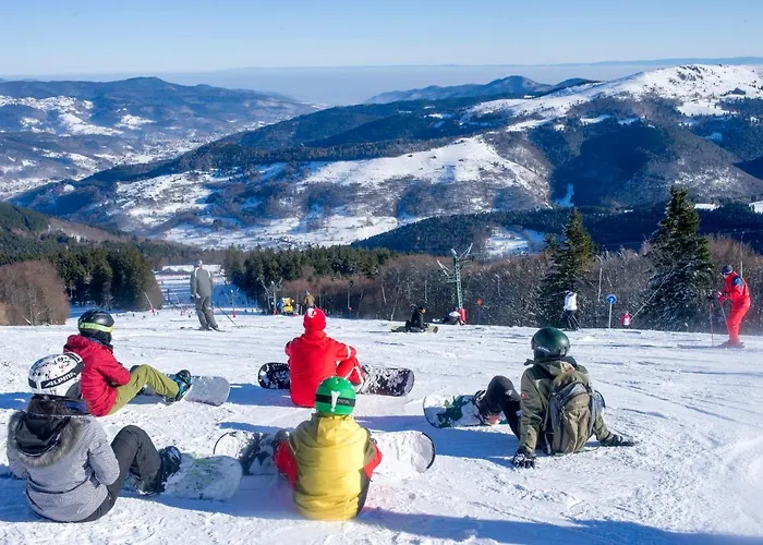 Vtf Les Fougères 3*
