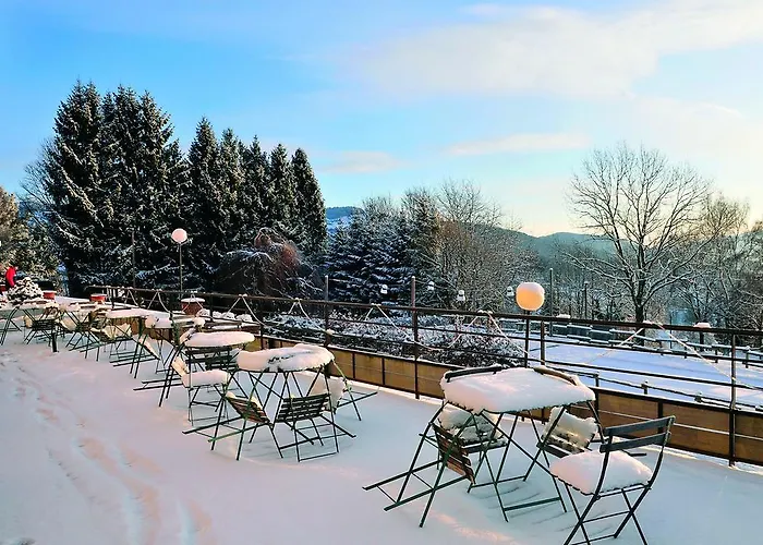 Vtf Les Fougères 3*