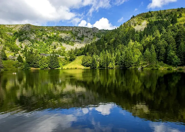 פארק נופש Vtf Les Fougeres Soultzeren