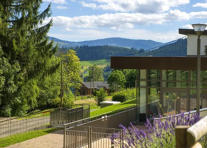 Vtf Les Fougères Soultzeren