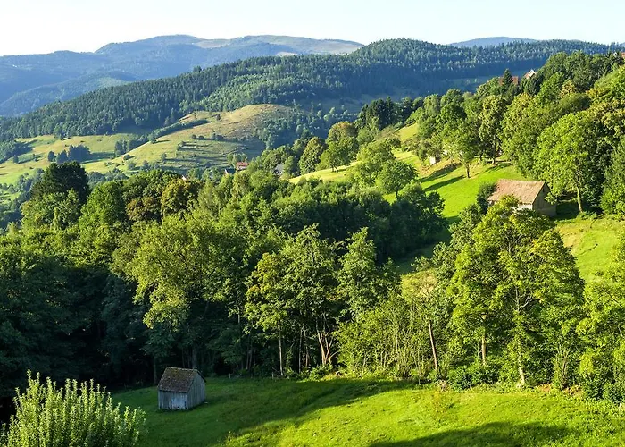 Vtf Les Fougères 3*