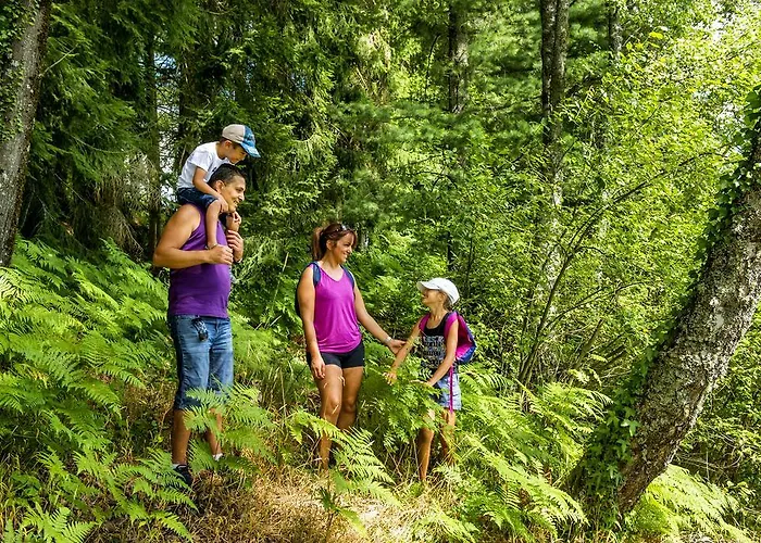 Village de vacances Vtf Les Fougères 3*